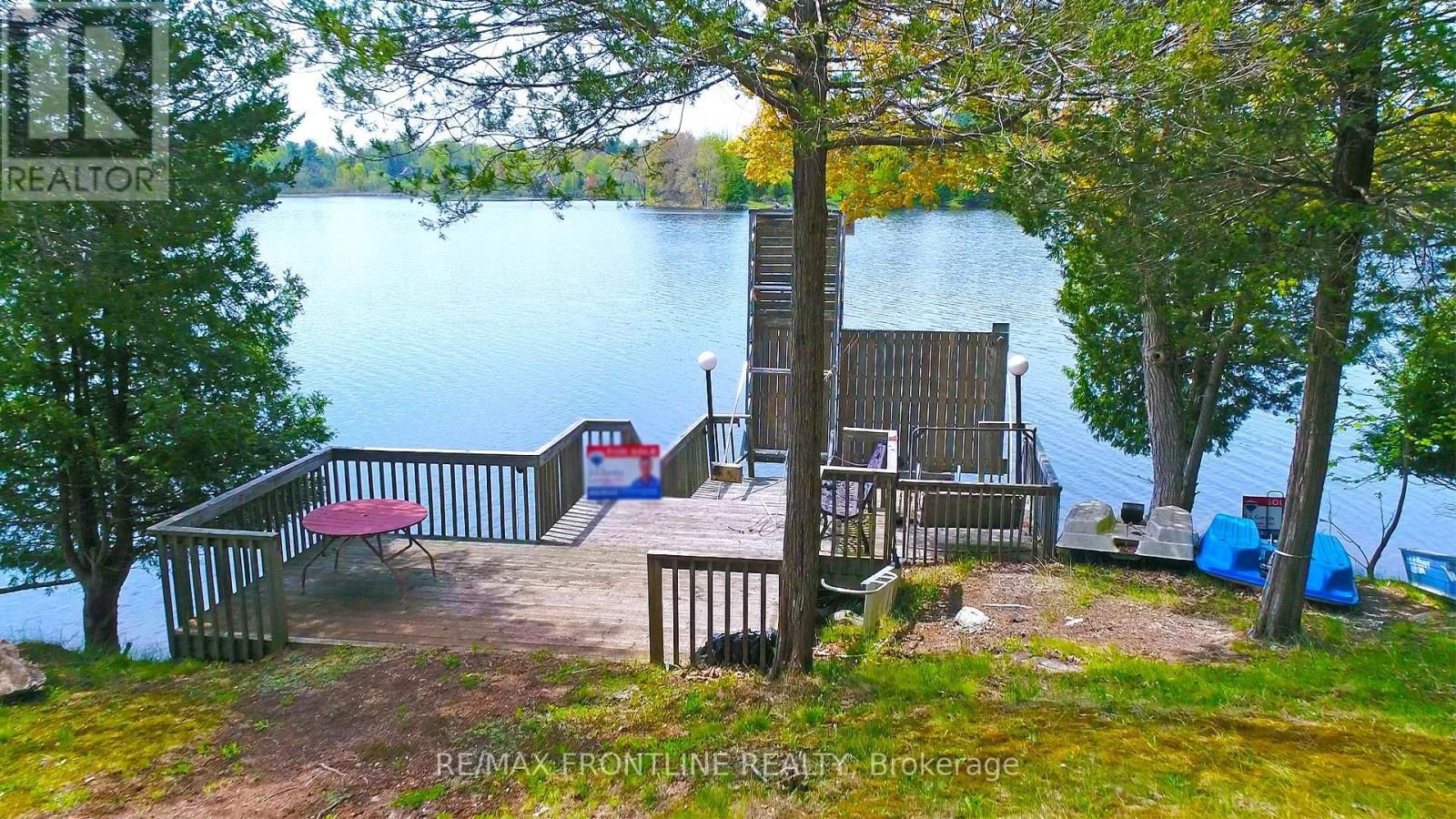 41 SAND-BIRCH Image 14