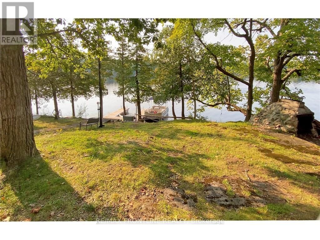 41 SAND-BIRCH Image 15