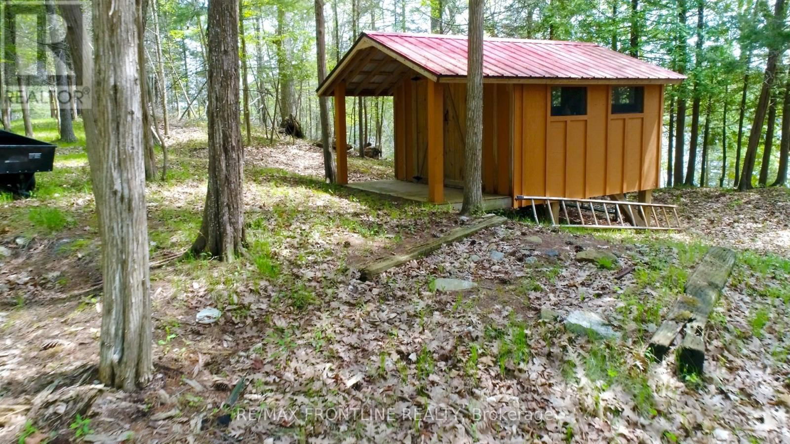 41 SAND-BIRCH Image 16
