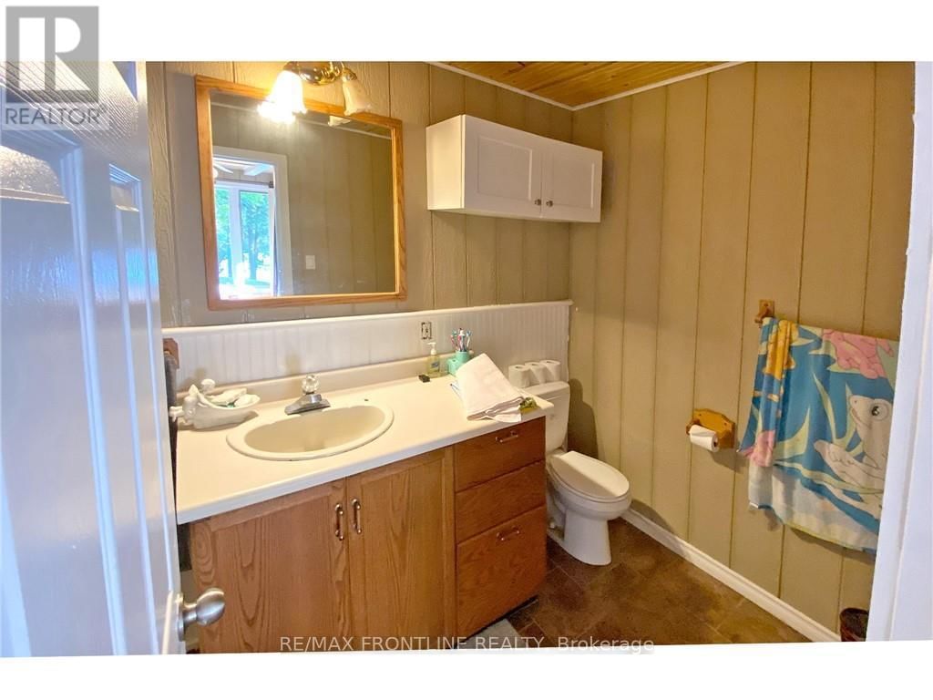 41 SAND-BIRCH Image 23