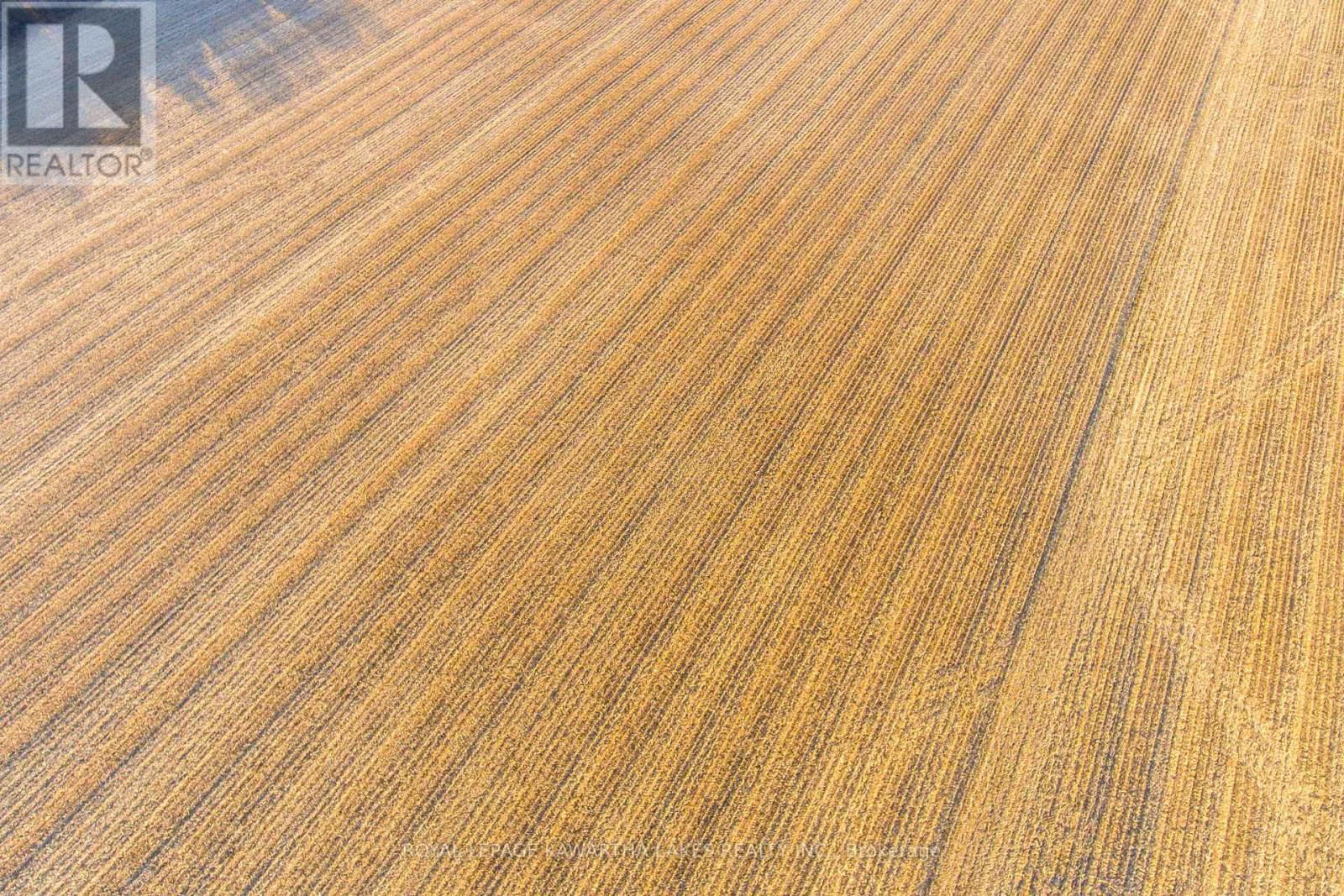 Con 7Pt LOT 7 CENTURY FARM ROAD Image 7