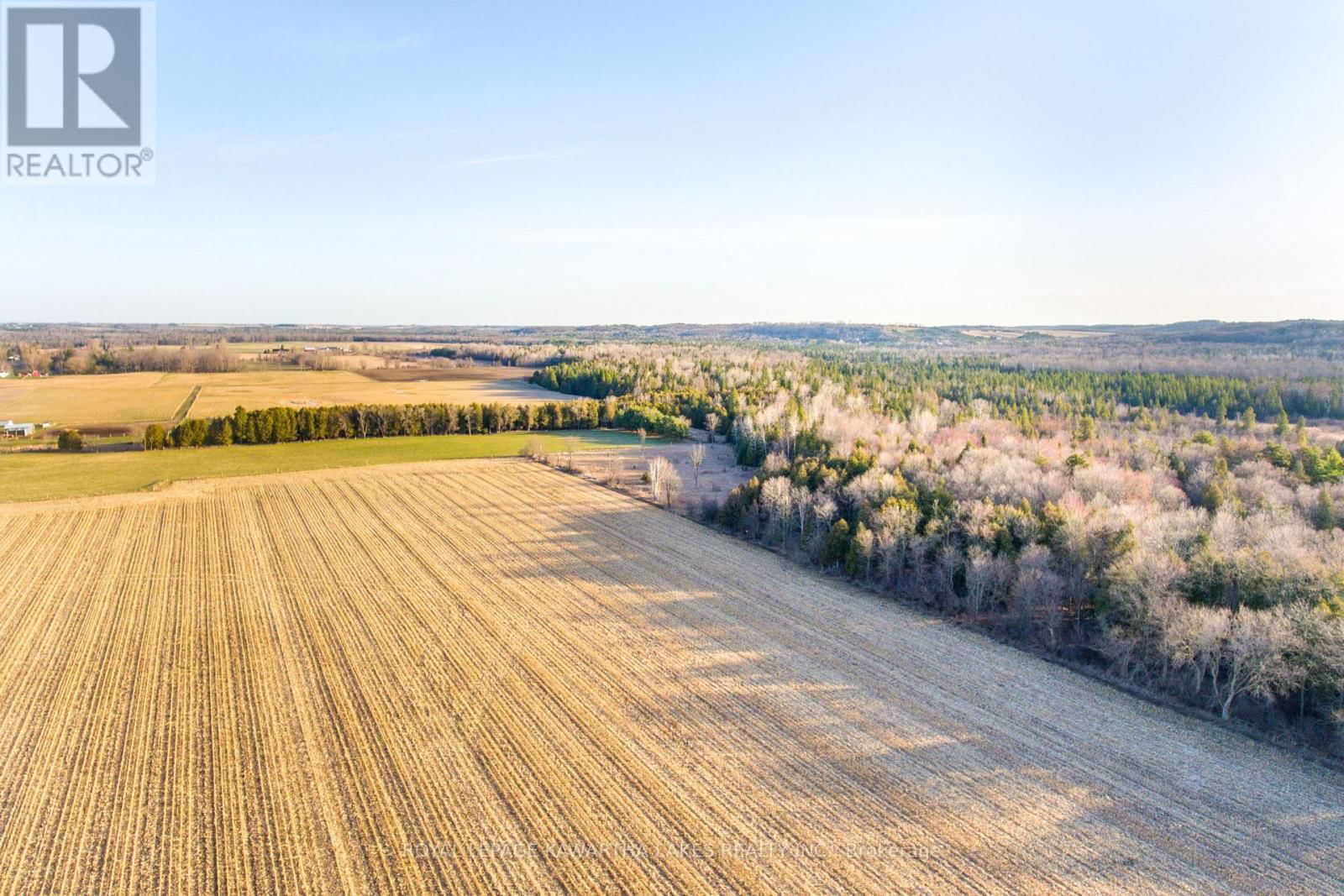 Con 7Pt LOT 7 CENTURY FARM ROAD Image 9