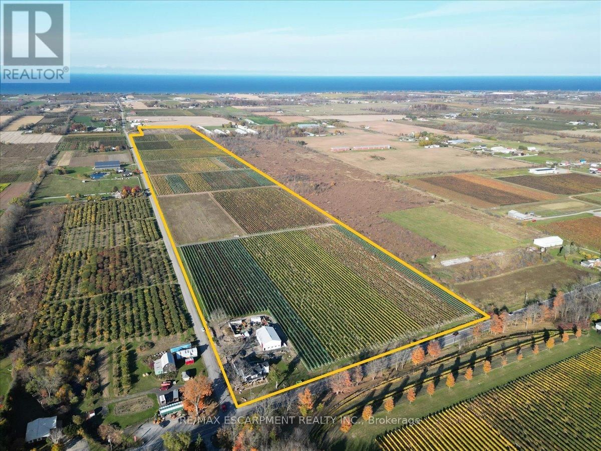 Primary Property View