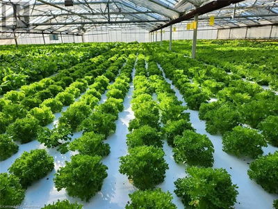 Businesses for Sale in Ontario