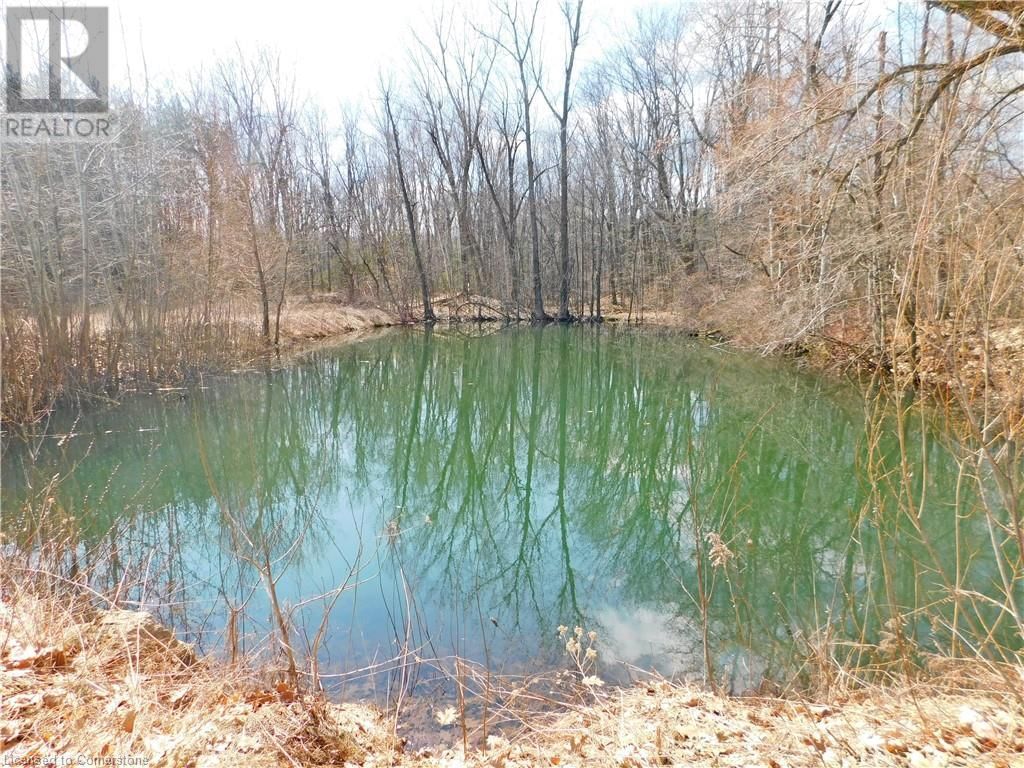 1101 DERRY ROAD Image 28