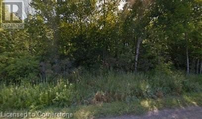 856144 King Road  Bright, N0J1B0 | Image 1