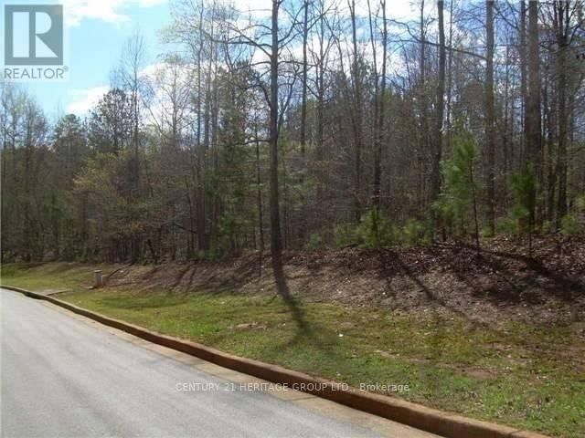 Lot 27 146 Shawnee Trail  Paulding, null | Image 5