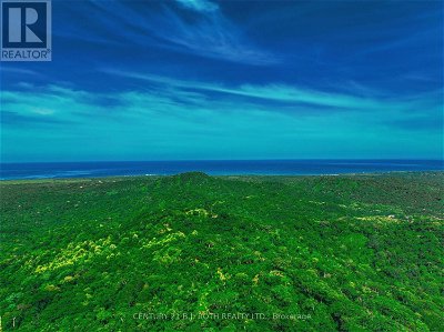 Image #1 of Commercial for Sale at 0 Pinilla Finca Hts, Costa Rica, Ontario