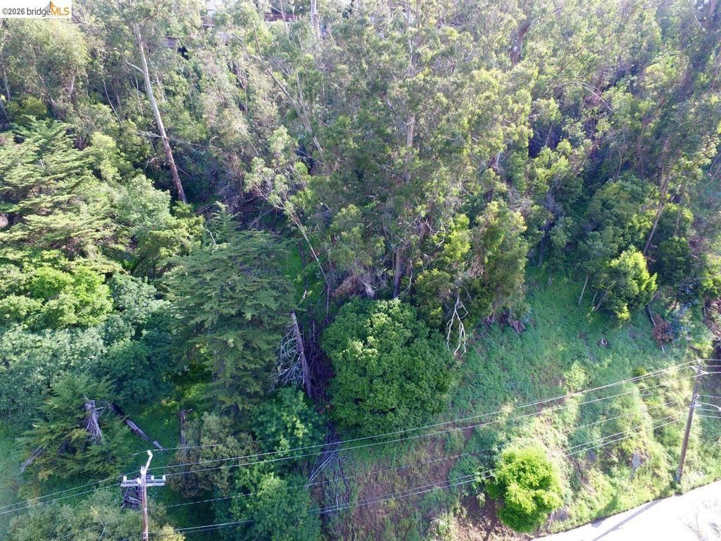 Scout Rd, Oakland, CA, 94611