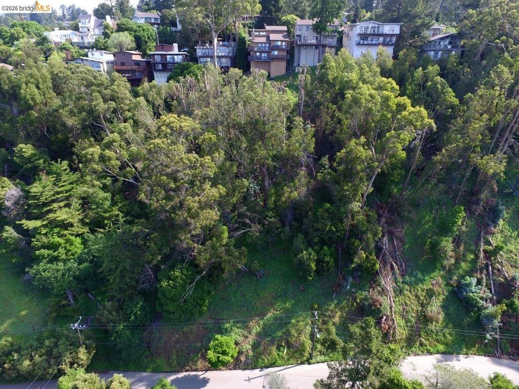 Scout Rd, Oakland, CA, 94611