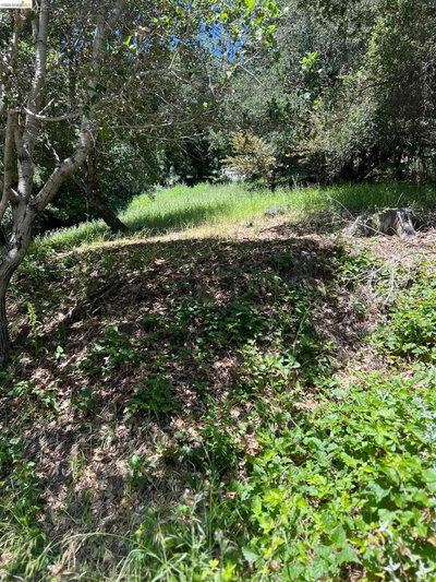 Beauforest Drive, Oakland, CA 94603