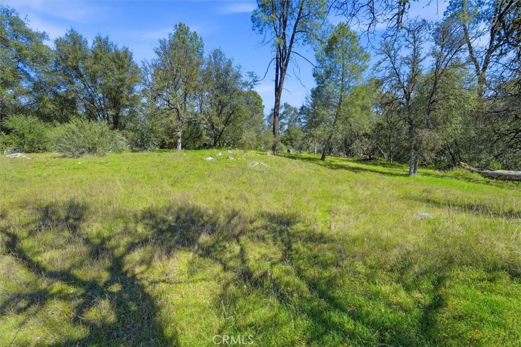 4260 Burl, Mariposa, CA, 95338