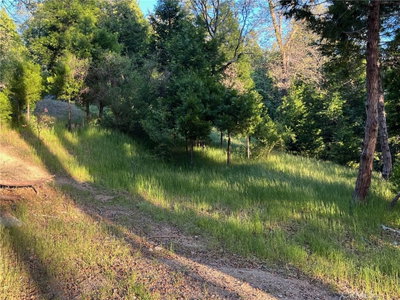 29038 Terrace, Cedar Glen, CA 92321