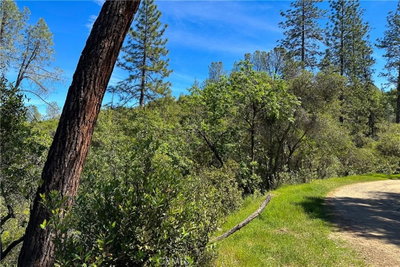 6652 Pappalardo Promenade, Murphys, CA 95247