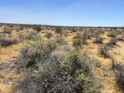 0 Sun Rose, Adelanto, CA 92301