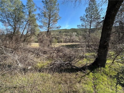 1395 New Long Valley Road, Clearlake Oaks, CA 95423