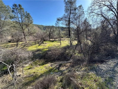 1395 New Long Valley Road, Clearlake Oaks, CA 95423