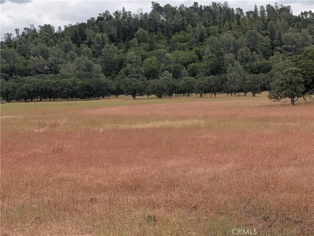 19905 Jerusalem Grade, Lower Lake, CA, 95457