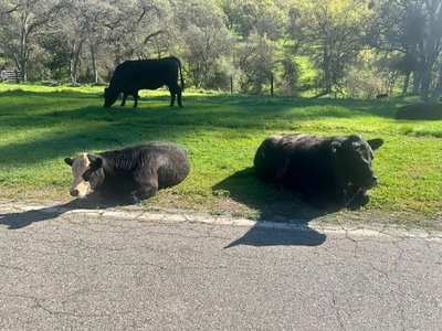 0 Moccasin Ranch Road, La Grange, CA 95329