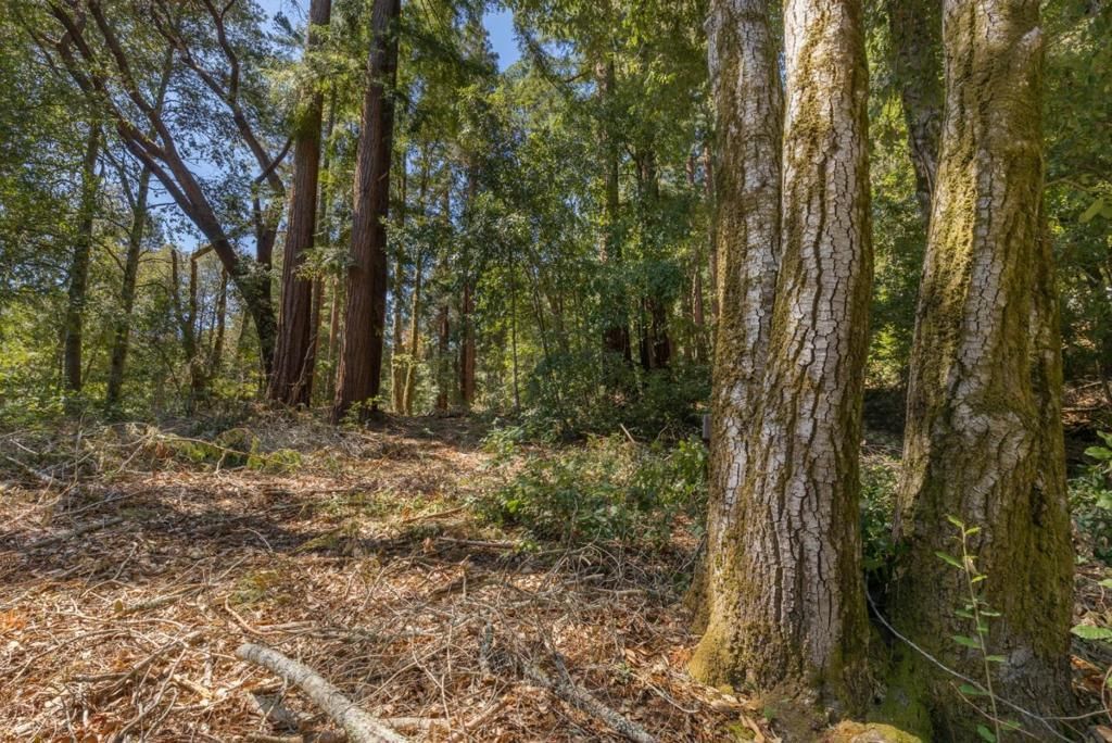 333 Western Avenue, Brookdale, CA, 95007