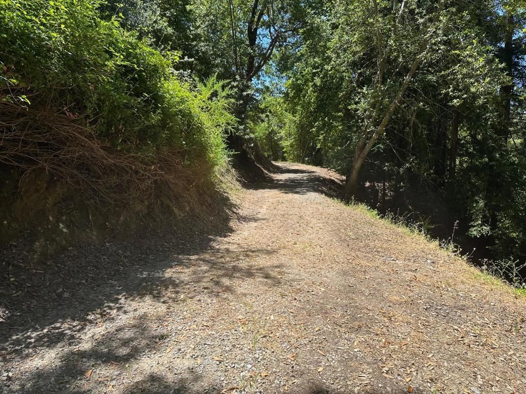 Main Boulevard, Los Gatos, CA, 95033