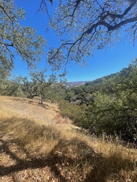 Cachagua Road, Carmel Valley, CA, 93924