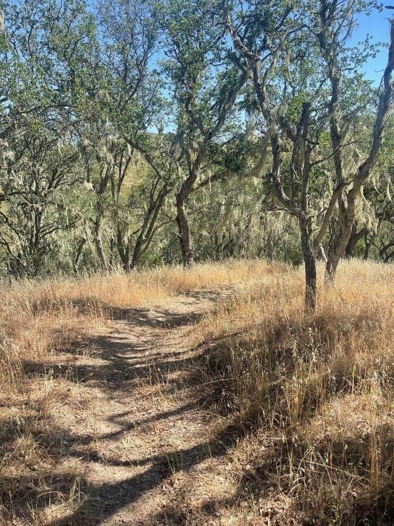 Cachagua Road, Carmel Valley, CA, 93924