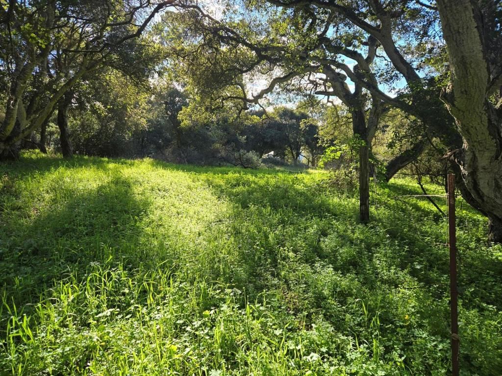 Paradise Road, Salinas, CA, 93907