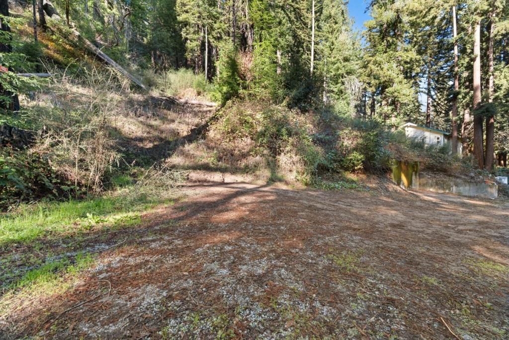 160 Starview Place, Boulder Creek, CA, 95006