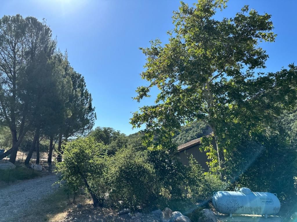 Property photo 103