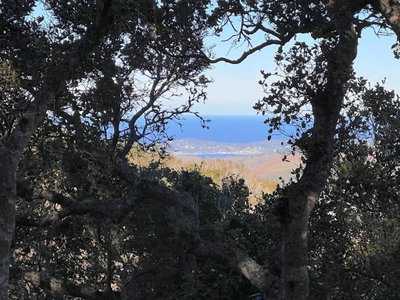 13 Cantera (Lot 185) Run, Carmel, CA 93923