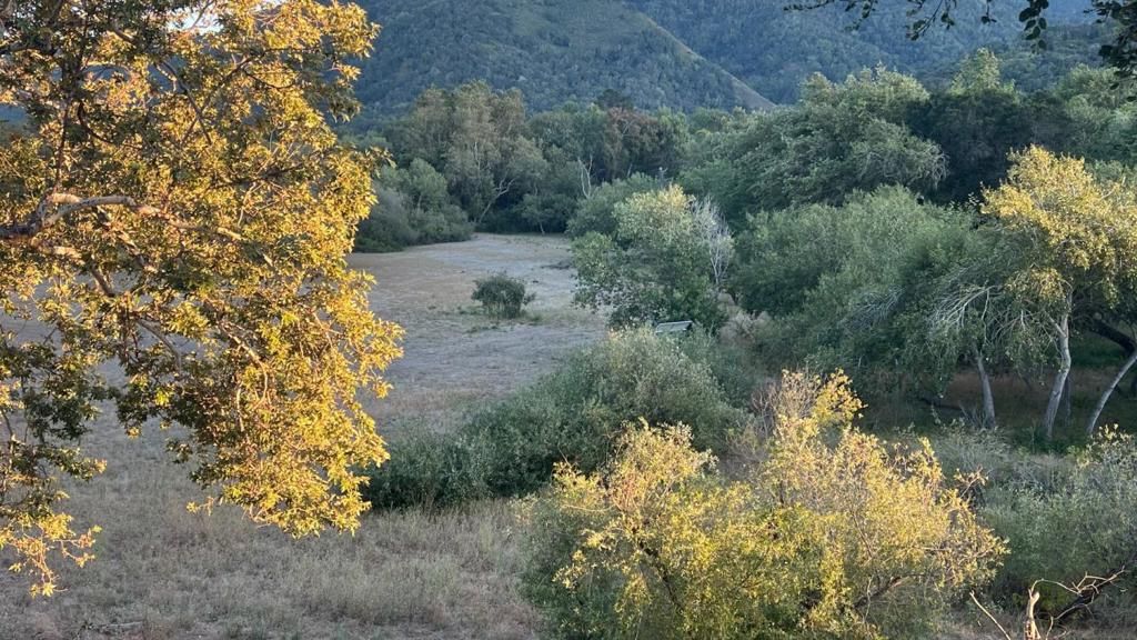 Carmel Valley, CA, 93924