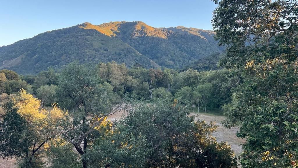 Carmel Valley, CA, 93924