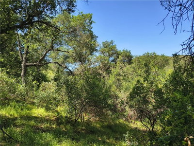 0 Seven Oaks, Santa Margarita, CA 93453