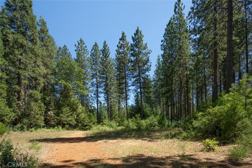 Property photo 21