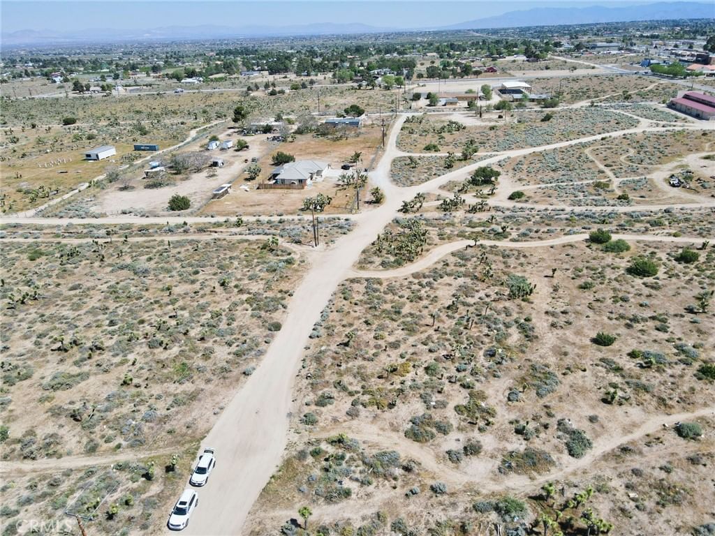 White Fox, Phelan, CA, 92371