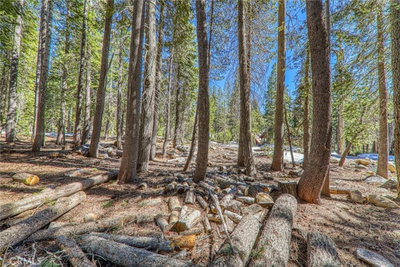 10150 Juniper Way, Soda Springs, CA 95728