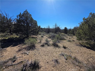 38 Blk 8 Lot 38 Karina Dr, Montague, CA 96064