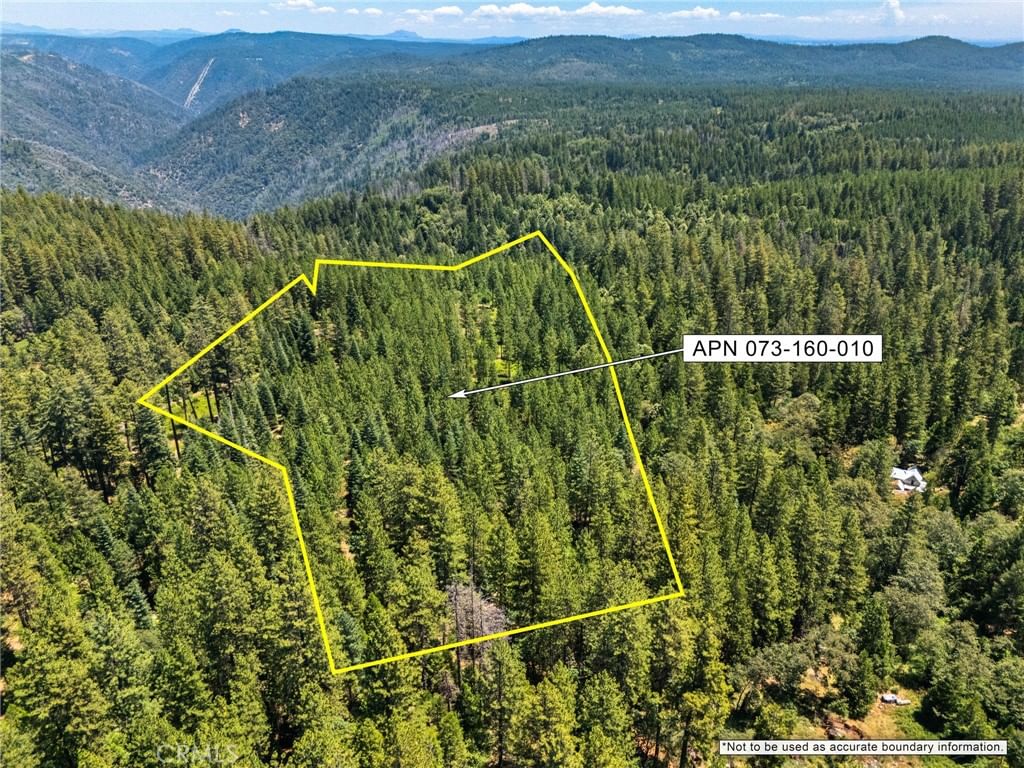 Old Forbestown Road, Forbestown, CA, 95941