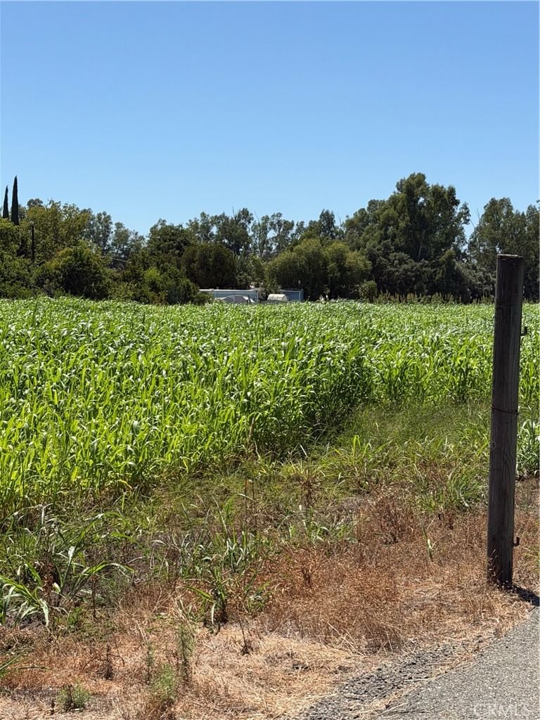 4275 County Road 99w, Orland, CA, 95963