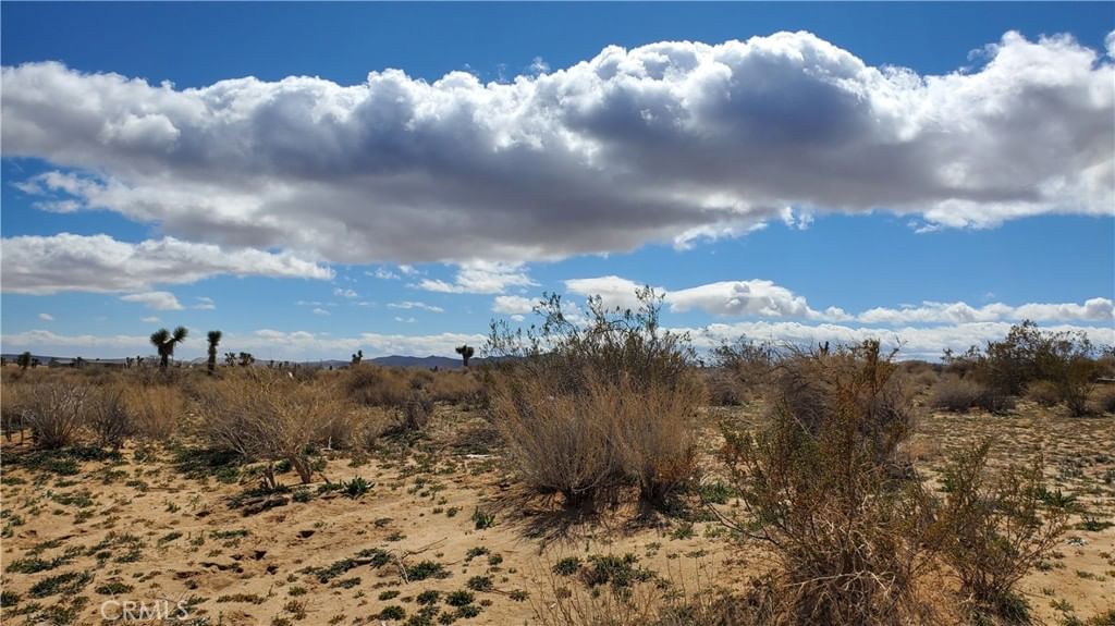 Reed Ave, Mojave, CA, 93501