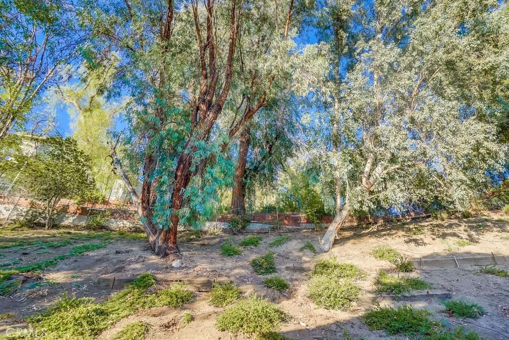 Property photo 66