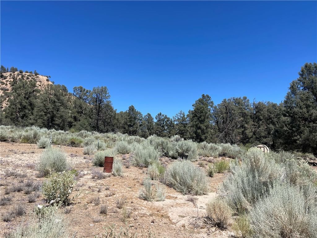 Derby, Frazier Park, CA, 93222
