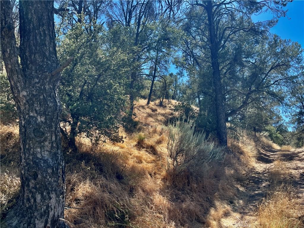 Short Trail, Frazier Park, CA, 93225