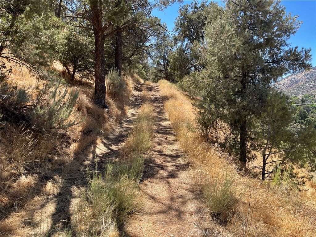 Short Trail, Frazier Park, CA, 93225
