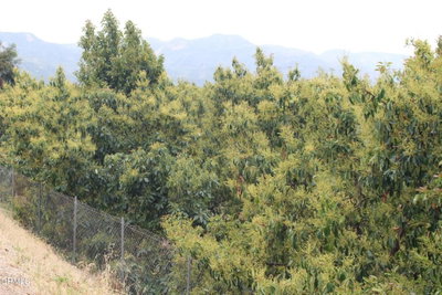 0 Camulos Street, Piru, CA 93040