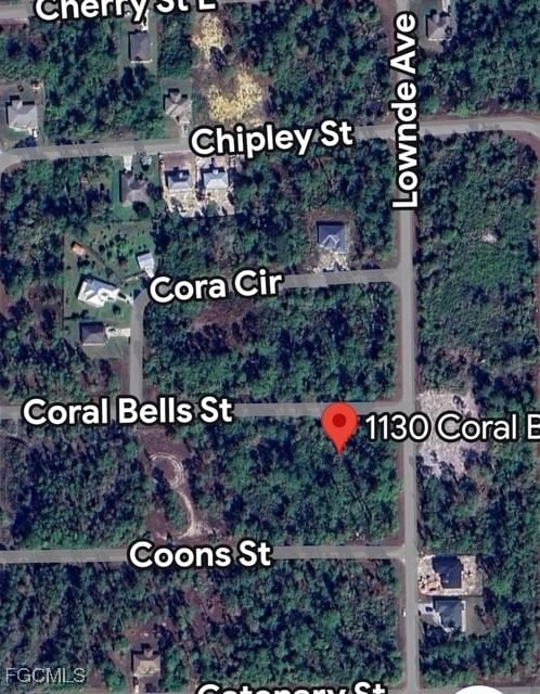 1130 Coral Bells Street E, Lehigh Acres, FL 33974 photo 2