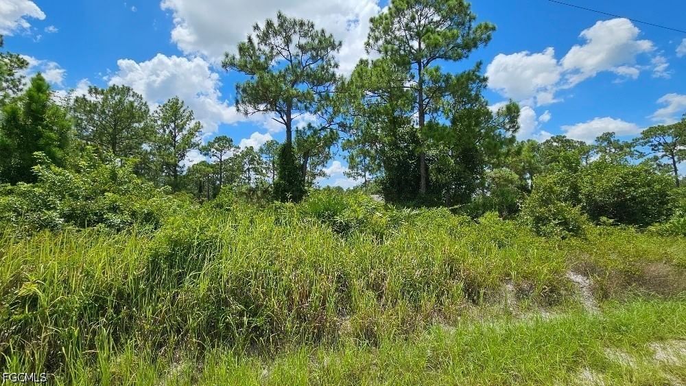 1213 Edison Avenue, Lehigh Acres, FL 33972 photo 2