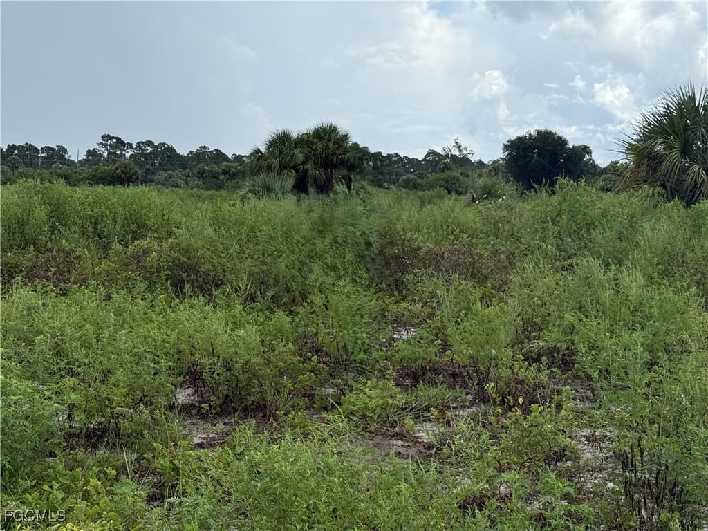 124 Ardmore Circle, Labelle, FL 33935 photo 4