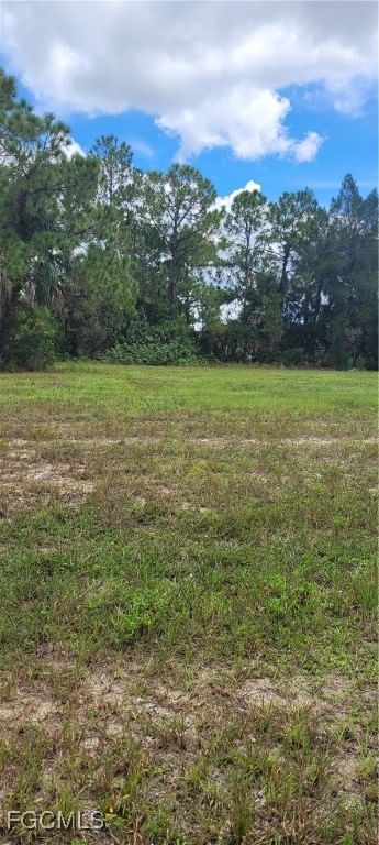 3917 NE 19th Avenue, Cape Coral, FL 33909 photo 2